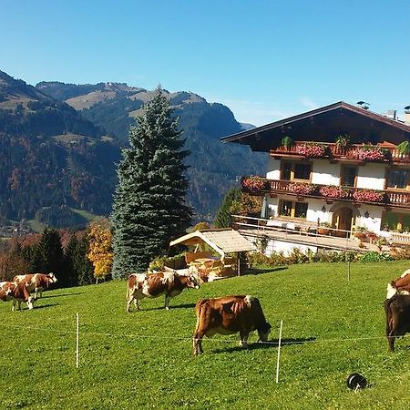 Appartement Hof Hamoos à Kitzbühel Extérieur photo