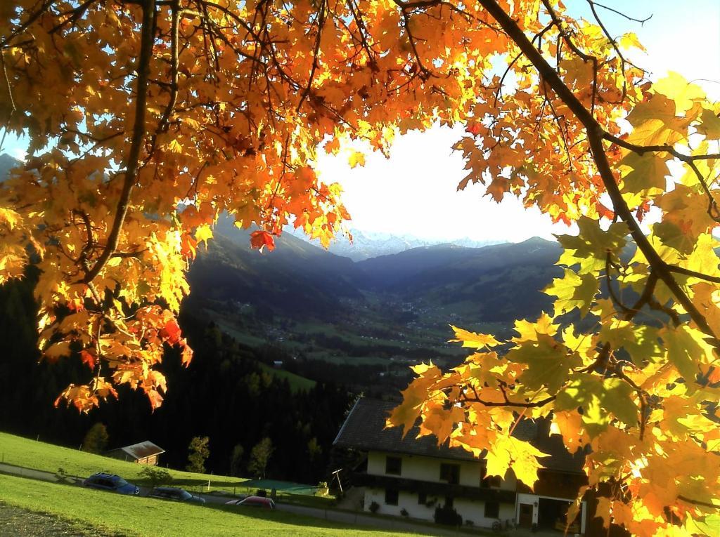 Appartement Hof Hamoos à Kitzbühel Extérieur photo