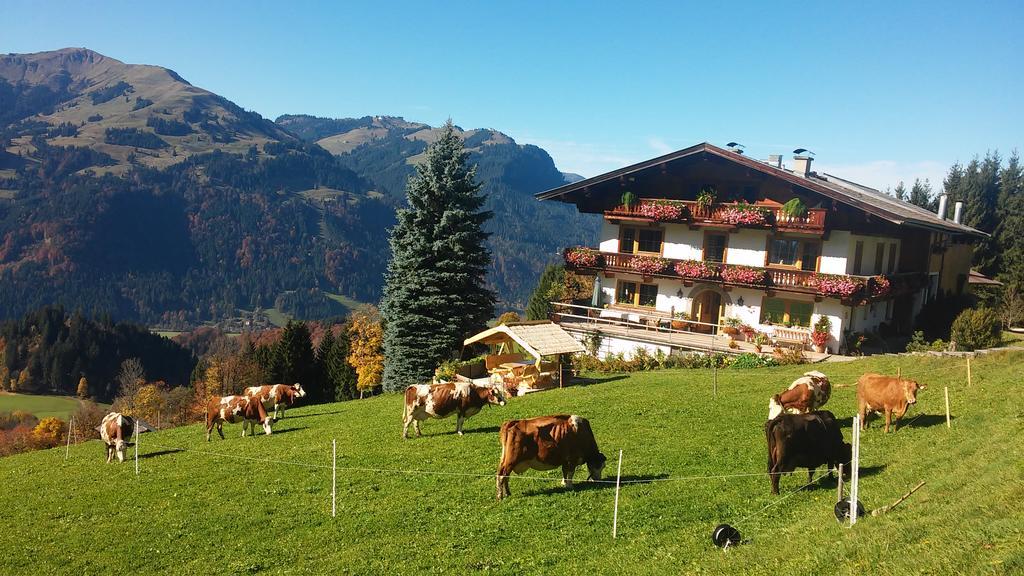 Appartement Hof Hamoos à Kitzbühel Extérieur photo